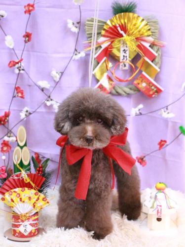 20230112きょうのちゃん